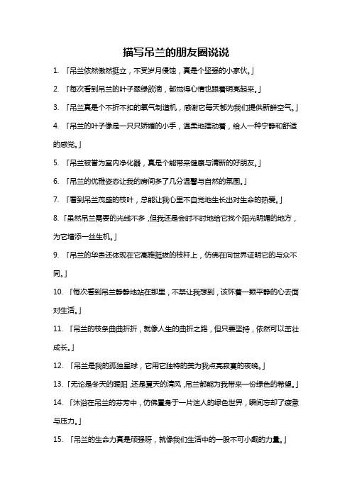 描写吊兰的朋友圈说说
