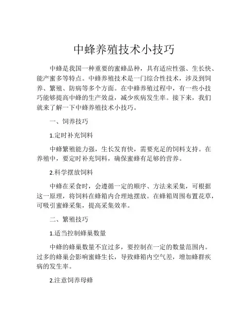 中蜂养殖技术小技巧