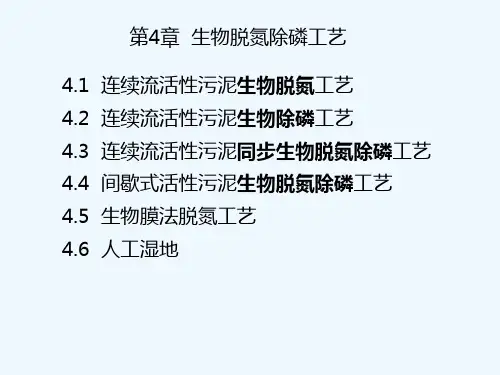 生物脱氮除磷课件.ppt