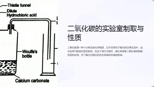 二氧化碳的实验室制取与性质