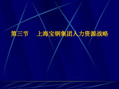 上海宝钢集团人力资源(内部文件)