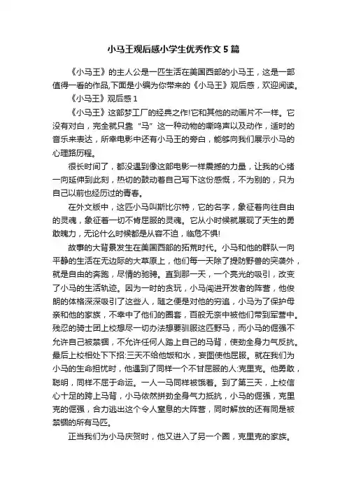 小马王观后感小学生优秀作文5篇