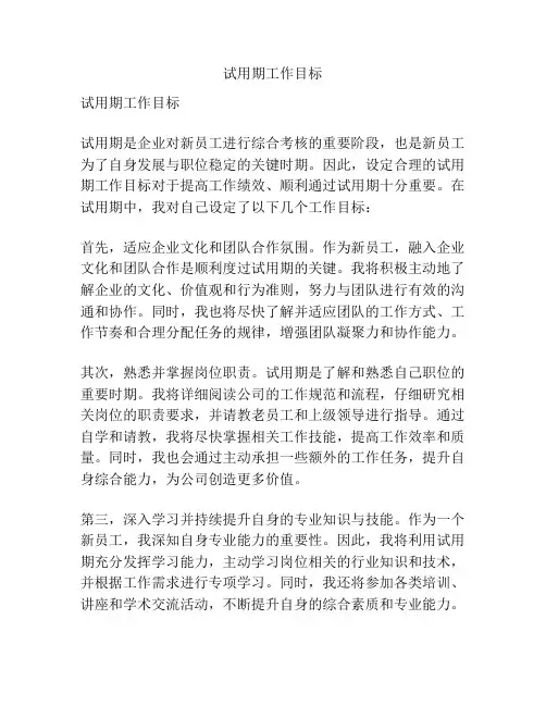 试用期工作目标