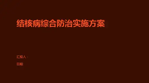 结核病综合防治实施方案