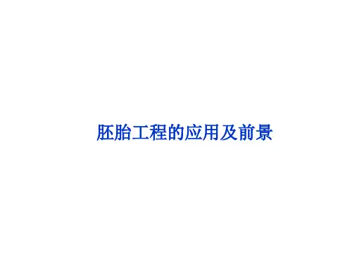 胚胎工程的应用及前景  课件