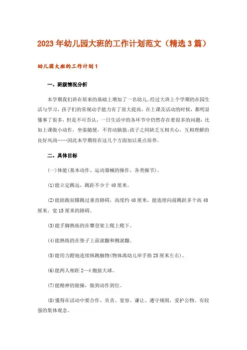 2023年幼儿园大班的工作计划范文(精选3篇)