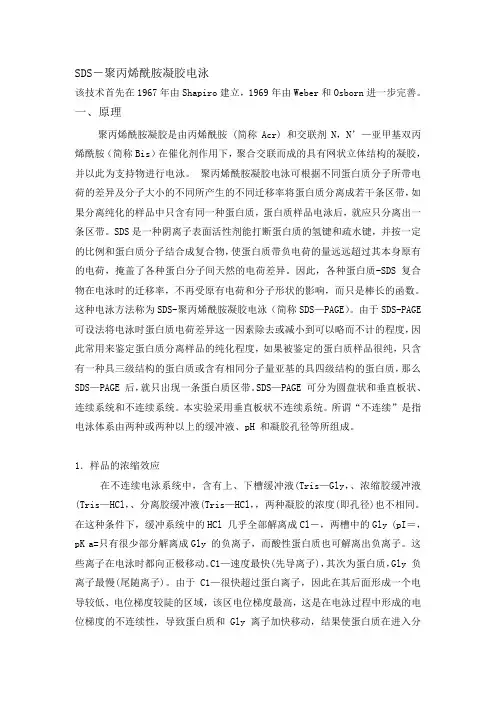 SDS-聚丙烯酰胺凝胶电泳