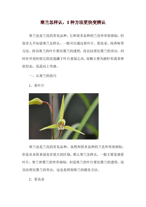 寒兰怎样认,3种方法更快变辨认