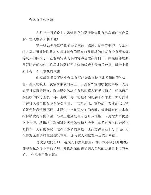 台风来了作文5篇