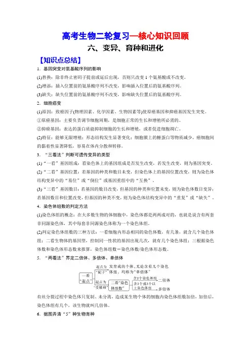 高考生物二轮复习(核心知识回顾)：6、变异、育种和进化