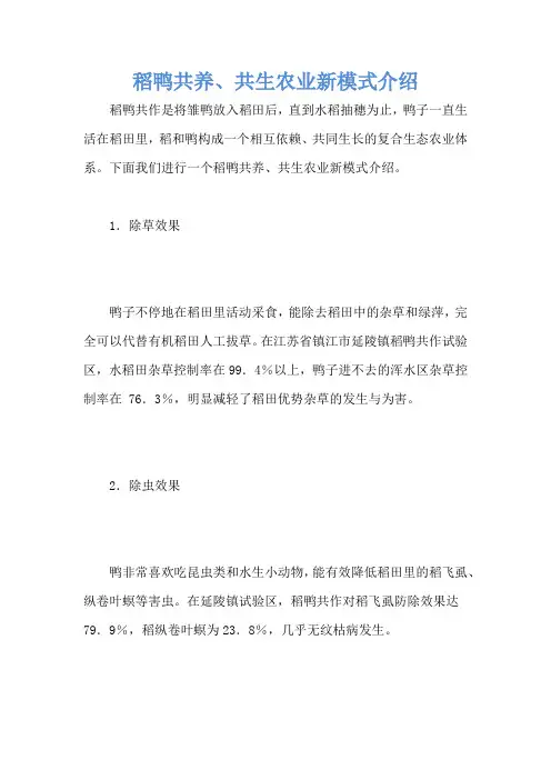 稻鸭共养、共生农业新模式介绍
