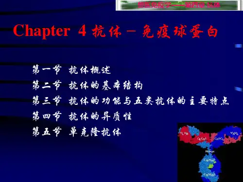 第四章  抗体-免疫球蛋白(兽医免疫学)