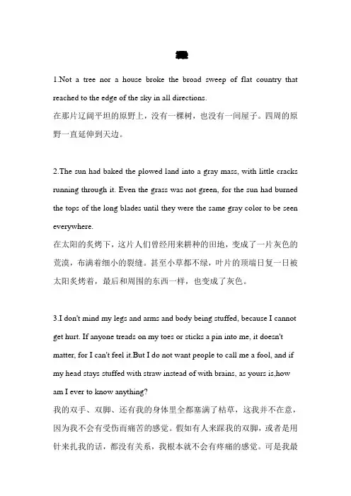绿野仙踪中英佳句