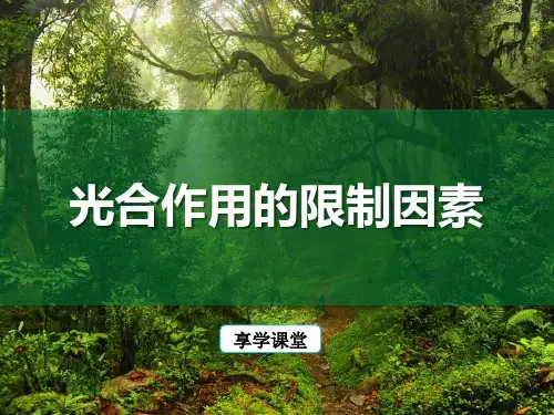 光合作用的限制因素