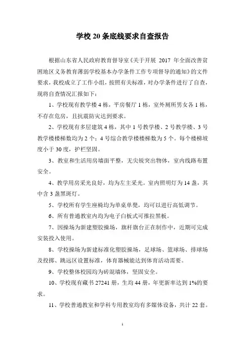 学校20条底线要求自查报告