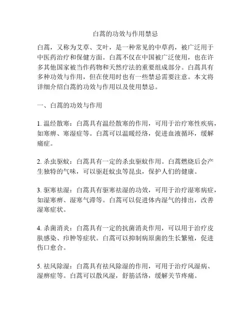 白蒿的功效与作用禁忌