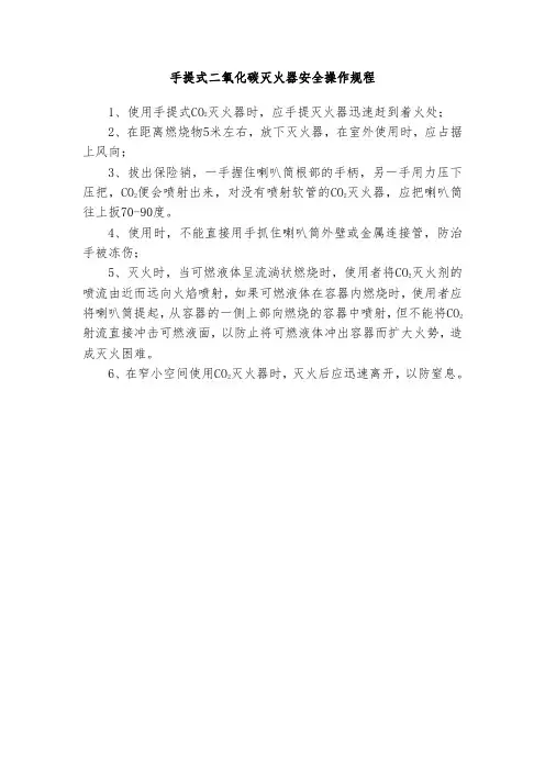 手提式二氧化碳灭火器安全操作规程(格式规范)