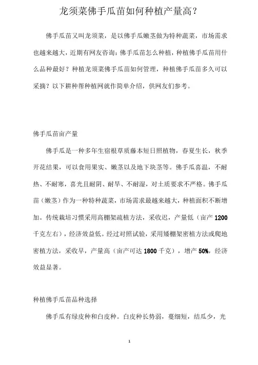 龙须菜佛手瓜苗如何种植产量高？