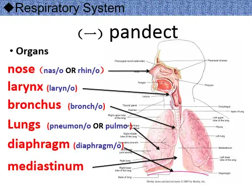 pneumonia呼吸系统肺炎英文带教 ppt课件