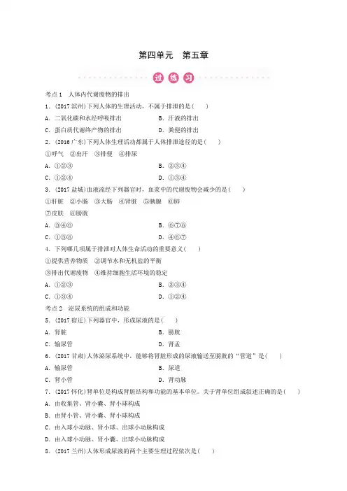 2019年广东中考生物总复习：第4单元 第5章 人体内废物的排出