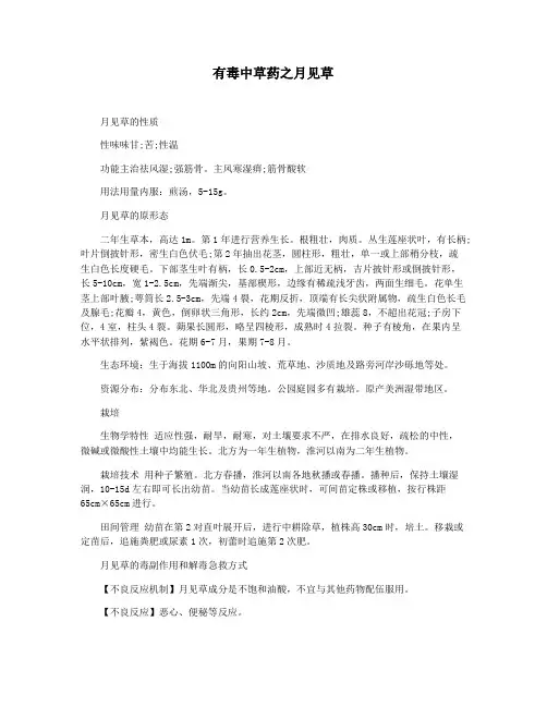 有毒中草药之月见草
