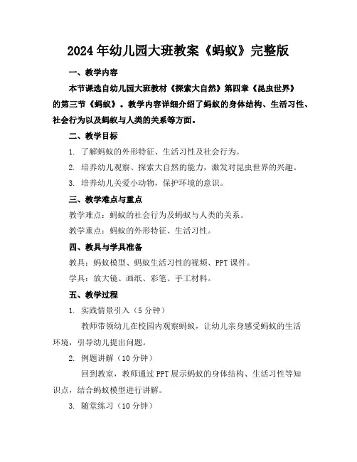 2024年幼儿园大班教案《蚂蚁》完整版