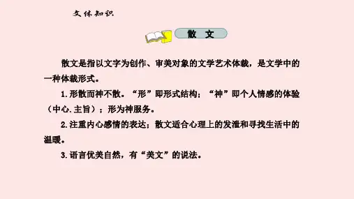 第14课《背影》课件(共39张ppt)  2023-2024学年统编版语文八年级上册