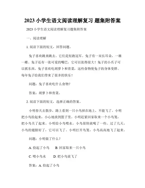 2023小学生语文阅读理解复习 题集附答案