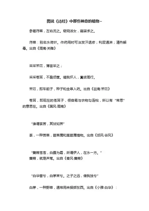 图说《诗经》中那些神奇的植物~