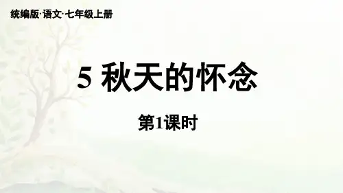 人教版部编版统编版七年级上册语文第5课《秋天的怀念》PPT课件