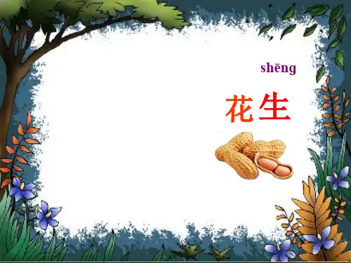 部编版语文一年级下册《小松鼠找花生》公开课课件(共21张PPT)