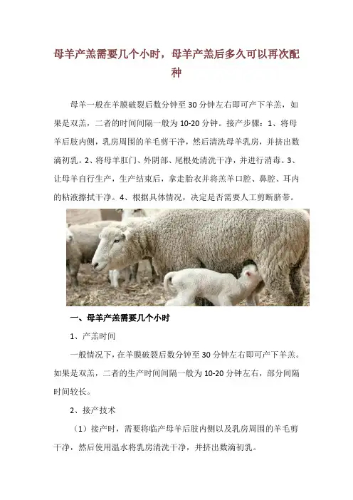 母羊产羔需要几个小时,母羊产羔后多久可以再次配种