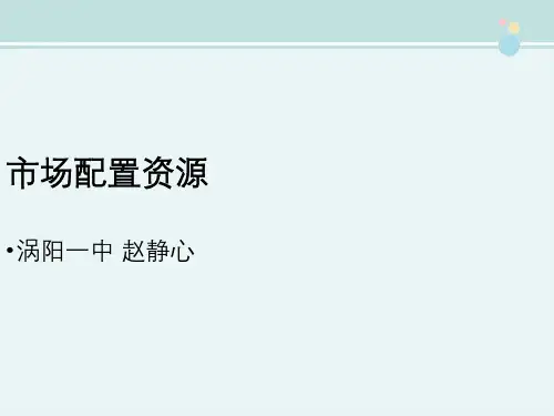 市场配置资源赵静心 完整版PPT课件
