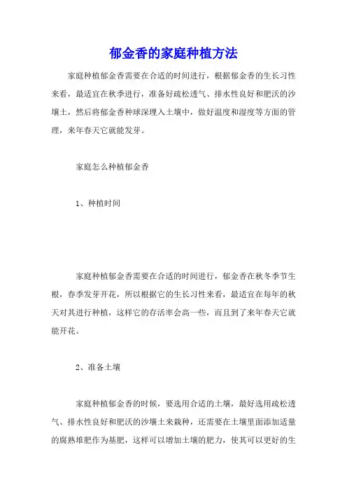 郁金香的家庭种植方法