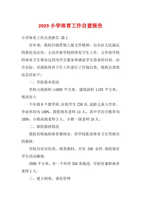 2023小学体育工作自查报告_2