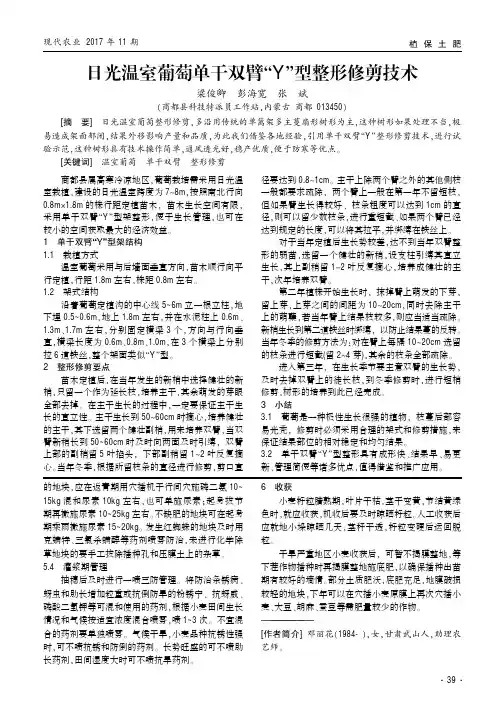 日光温室葡萄单干双臂“Y”型整形修剪技术