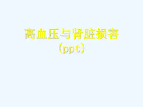 高血压与肾脏损害(ppt)
