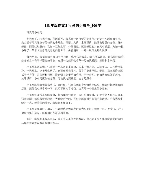 【四年级作文】可爱的小布马_500字