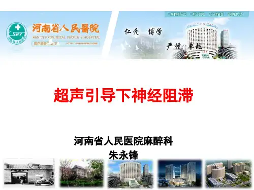 超声引导下神经阻滞