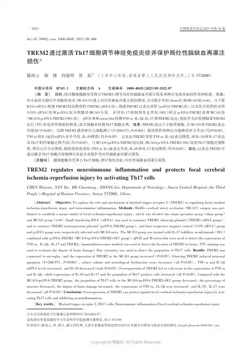 TREM2通过激活Th17细胞调节神经免疫炎症并保护局灶性脑缺血再灌注损伤