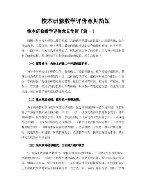 校本研修数学评价意见简短
