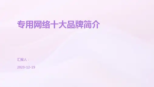 专用网络十大品牌简介