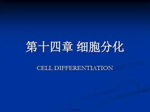 14细胞分化(翟中和细胞生物学全套)