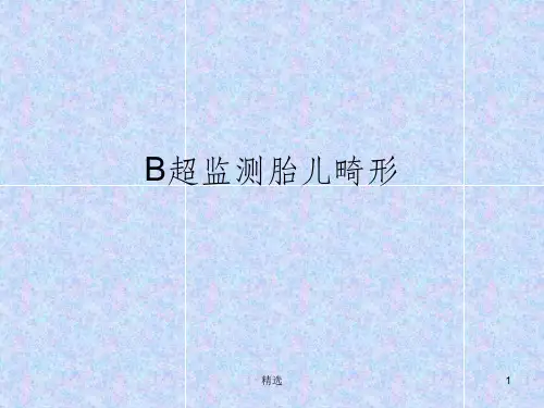 B超胎儿畸形PPT课件