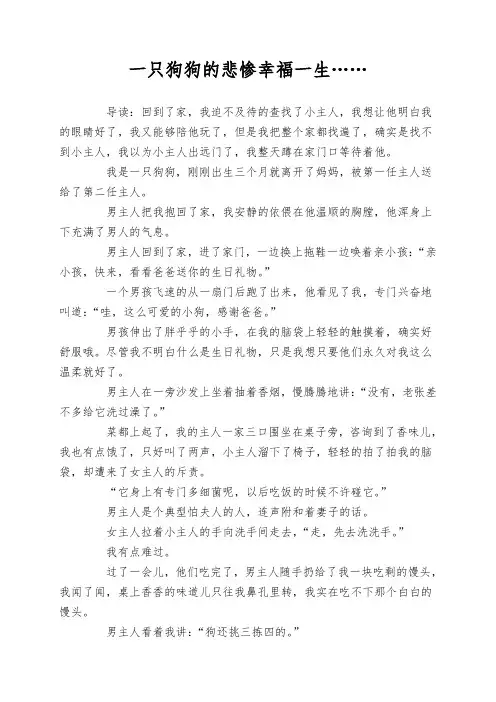 一只狗狗的悲惨幸福一生……