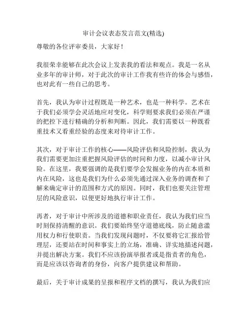 审计会议表态发言范文(精选)
