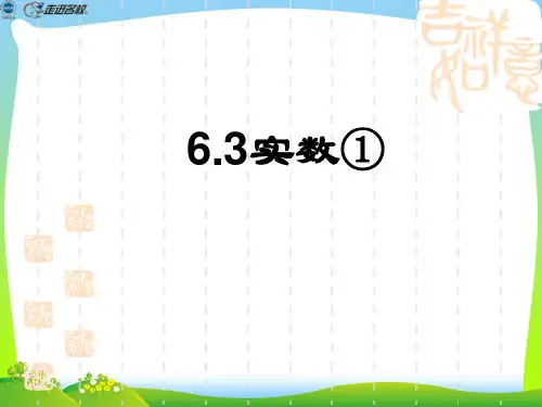 【新】人教版七年级数学下册第六章《实数(1)》精品课件 (3).ppt
