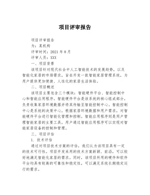 项目评审报告