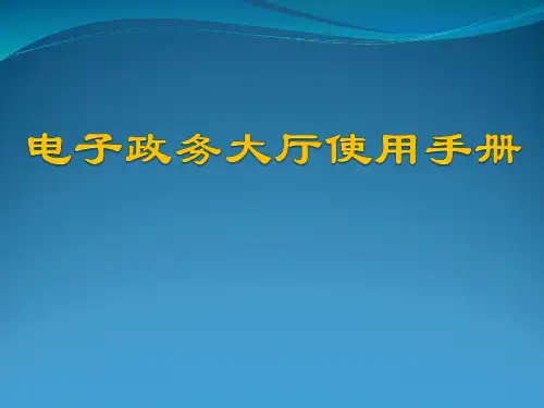 四川省电子政务大厅使用手册
