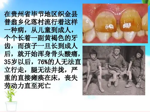 人教版九年级化学课件：12.2化学元素和人体健康(共16张PPT)